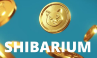 مجتمع عملة شيبا SHIB ينتقد لعبة Shiba Eternity بعنف ويطالب بإطلاق Shibarium