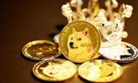 أكثر من 60 مليار عملة دوجكوين DOGE تم شراؤها لاستهداف سعر $1