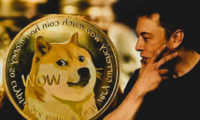 هل إيلون ماسك هو أكثر شخص يمتلك عملات دوجكوين DOGE؟