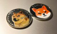 تحليل أسعار عملتي دوجكوين DOGE وشيبا SHIB وأهم ما يجب عليك معرفته