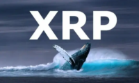 مستثمرو عملة XRP معرضين لخطر شديد بسبب إصرار الحيتان على البيع… ما هي التوقعات؟